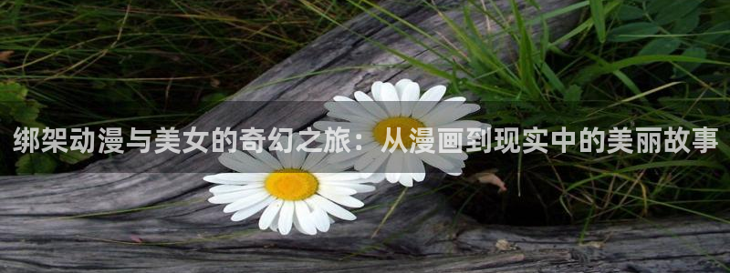 系统送我避难所包子漫画：绑架动漫与美女的奇幻之旅：从漫画到现实中的美丽故事